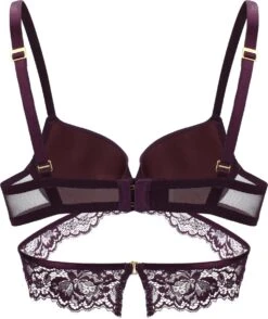 Sapph Celia Push-up BH -Sloggi Bikini Winkle 1007x1200