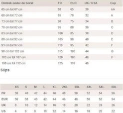 PrimaDonna Swim Badpak OLBIA Electric Blue - Maat 80 D -Sloggi Bikini Winkle 1200x1101