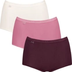 Sloggi Basic+ Maxi C3P Dames Onderbroek - Maat 48 -Sloggi Bikini Winkle 1200x1198 1