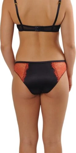 Sapph Ludivine Brief -Sloggi Bikini Winkle 602x1200 1
