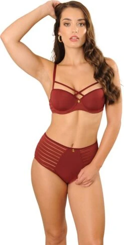 SAPPH - Iconic High Slip Bordeaux - Maat XL - Rood - Dames 13 SAPPH - Iconic High Slip Bordeaux - Maat XL - Rood - Dames -Sloggi Bikini Winkle 610x1200